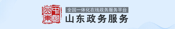 山东政务服务